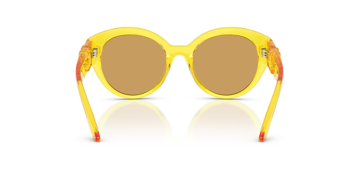 Солнцезащитные очки Dolce Gabbana Dx6010 DX6010 333474 47 17 — vista 3