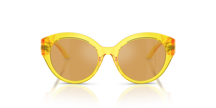 Солнцезащитные очки Dolce Gabbana Dx6010 DX6010 333474 47 17 — vista 4
