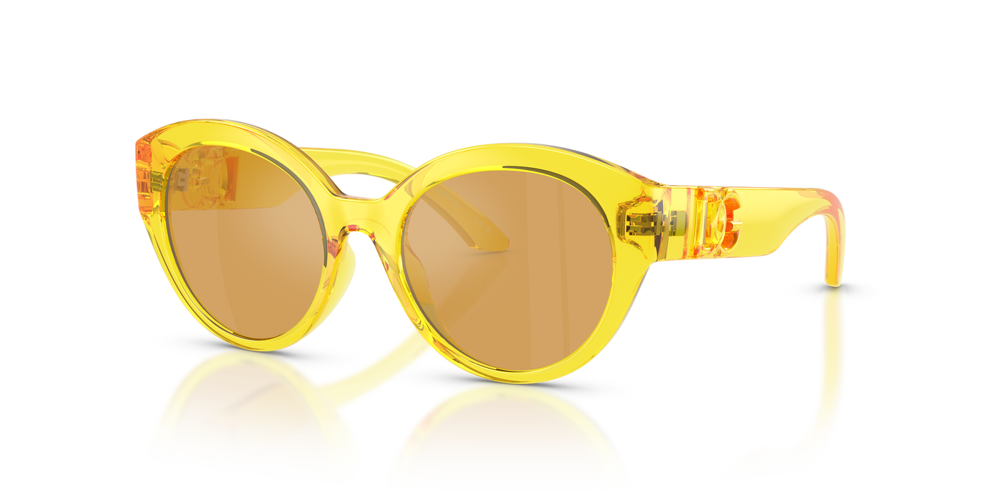 Солнцезащитные очки Dolce Gabbana Dx6010 DX6010 333474 47 17