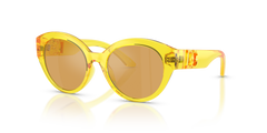 Солнцезащитные очки Dolce Gabbana Dx6010 DX6010 333474 47 17