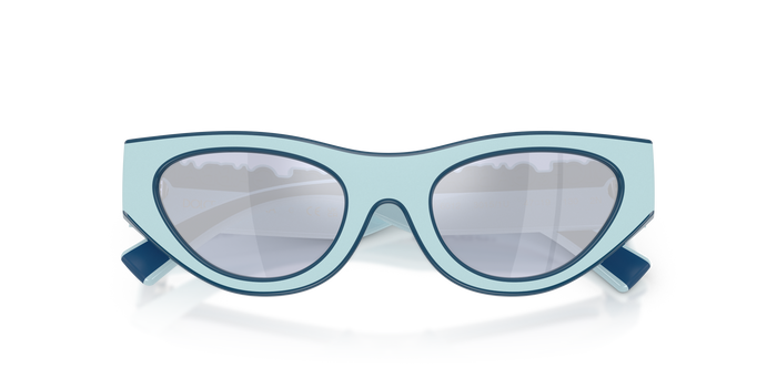 Sonnenbrille Dolce Gabbana Dx6012 DX6012 30151U 47 19 — vista 5
