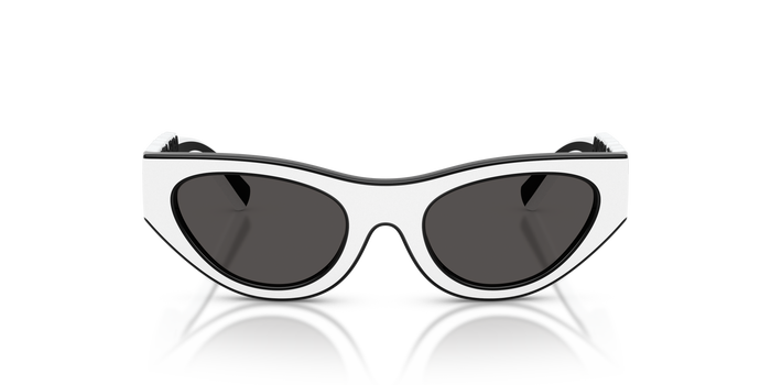 Sunglasses Dolce Gabbana Dx6012 DX6012 346587 47 19 — vista 4