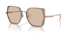 Lunettes de Soleil Emporio Armani EA2142D 301193 56 19