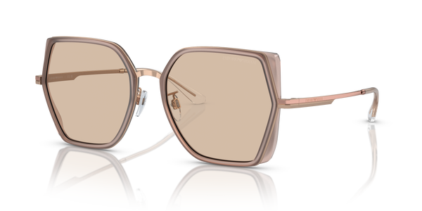 Gafas de Sol Emporio Armani EA2142D 301193 56 19