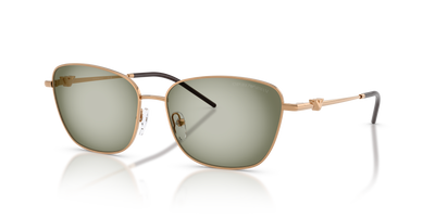 Sonnenbrille Emporio Armani EA2170 342713 57 15