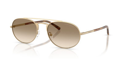 Gafas de Sol Emporio Armani EA2171 300213 57 20