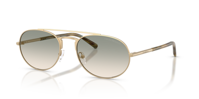 Gafas de Sol Emporio Armani EA2171 30022C 57 20