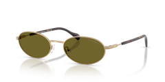 Lunettes de soleil Emporio Armani EA2175 3002/2 54 19