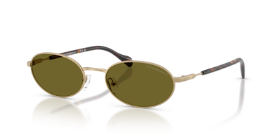 Солнцезащитные очки Emporio Armani EA2175 3002/2 54 19