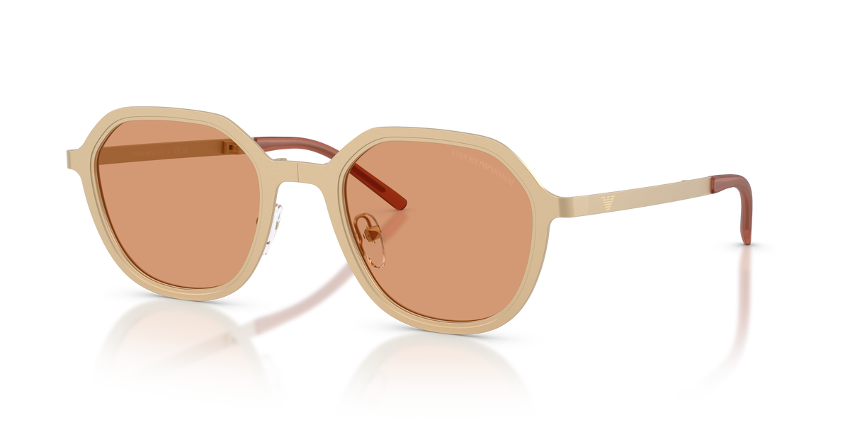 Lunettes de soleil Emporio Armani EA2176 3002/7 51 23