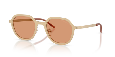 Lunettes de soleil Emporio Armani EA2176 3002/7 51 23