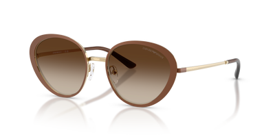 Lunettes de soleil Emporio Armani EA2177 344113 51 18