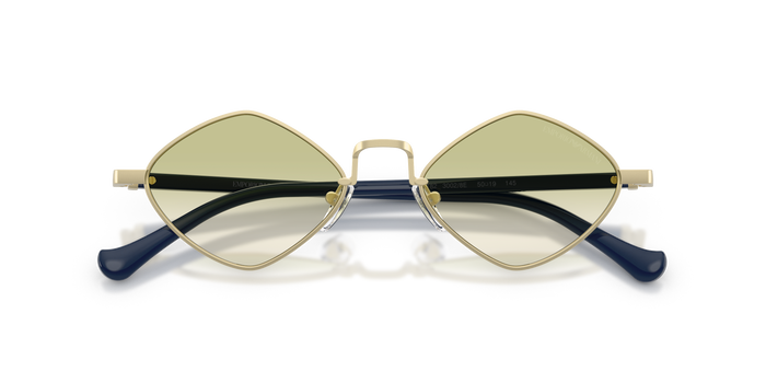 Солнцезащитные очки Emporio Armani EA2182 30028E 50 19 — vista 5