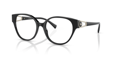 Lunettes de Vue Emporio Armani EA3211 5017 53 17