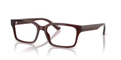 Gafas de Sol Emporio Armani EA3244 6174 55 17