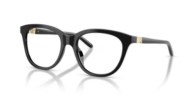 Оправа для очков Emporio Armani EA3292U 5017 50 / 52 18