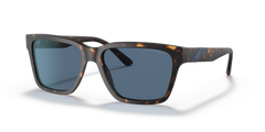 Gafas de Sol Emporio Armani EA4177 500280 57 17