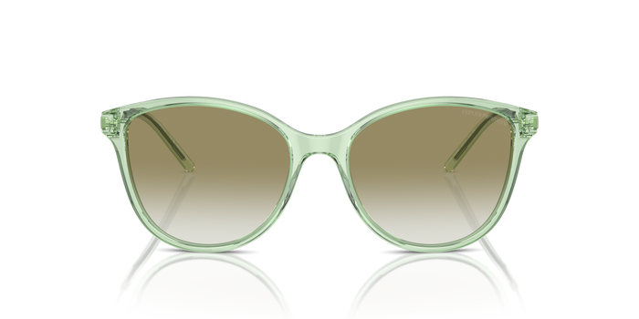 Gafas de Sol Emporio Armani EA4220 61078E 54 17 — vista 4