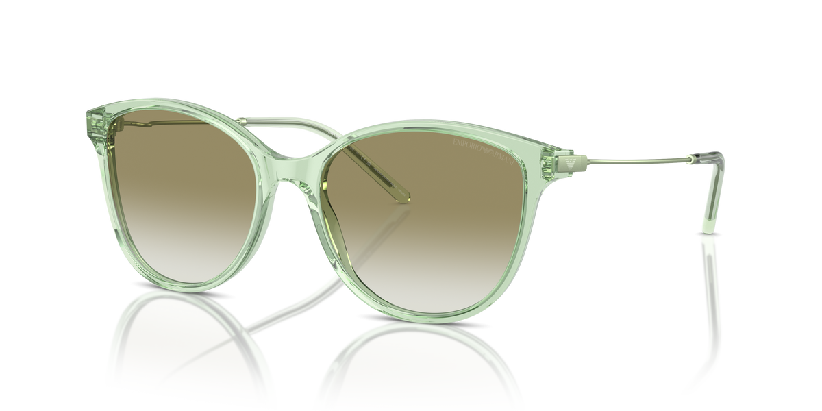 Gafas de Sol Emporio Armani EA4220 61078E 54 17