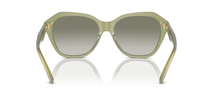 孙甘姆斯·埃姆波里奥·阿尔马尼 Ea4221 EA4221 61168E 56 17 Emporio Armani — vista 3