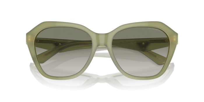 孙甘姆斯·埃姆波里奥·阿尔马尼 Ea4221 EA4221 61168E 56 17 Emporio Armani — vista 5