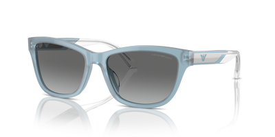 Gafas de Sol Emporio Armani EA4227U 609611 56 17