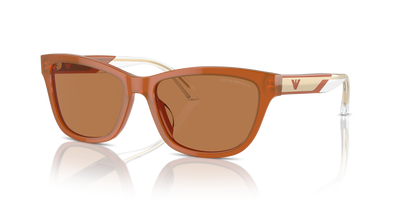 Gafas de Sol Emporio Armani EA4227U 609773 56 17