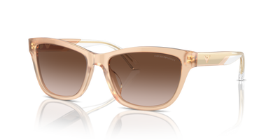 Gafas de Sol Emporio Armani EA4227U 609813 56 17