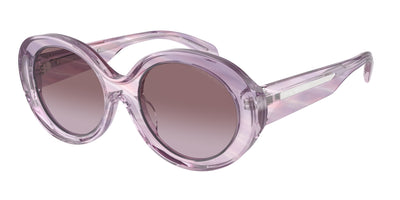 Emporio Armani EA4231U 61558H 53 20 太阳镜