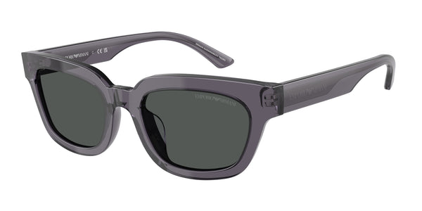 Emporio Armani EA4233U 610687 53 20太阳镜
