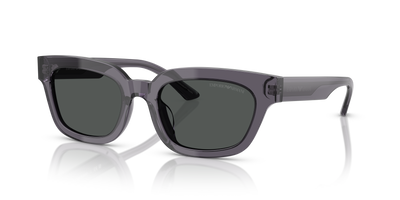 Gafas de Sol Emporio Armani EA4233U 610687 53 20