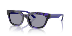 Gafas de Sol Emporio Armani EA4233U 618380 53 20