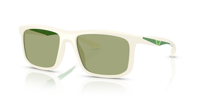 Gafas de Sol Emporio Armani EA4234U 618782 57 18