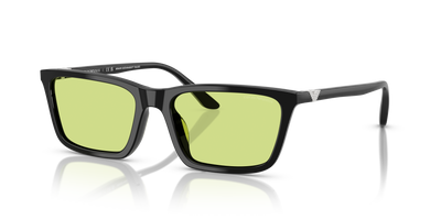 Sonnenbrille Emporio Armani EA4239U 5017/2 55 18