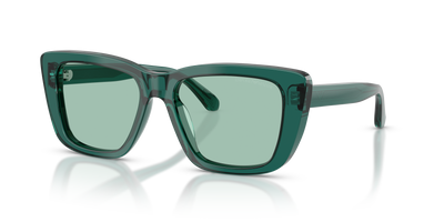 Gafas de Sol Emporio Armani EA4246U 6252/2 54 17