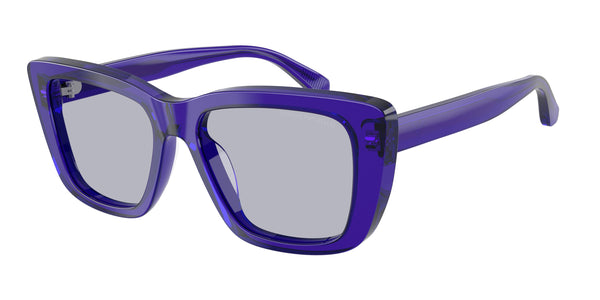Emporio Armani EA4246U 6253/1 54 17 太阳镜