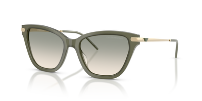 Sonnenbrille Emporio Armani EA4251 62642C 54 17