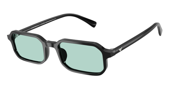 Emporio Armani EA4253U 501765 54 21 太阳镜