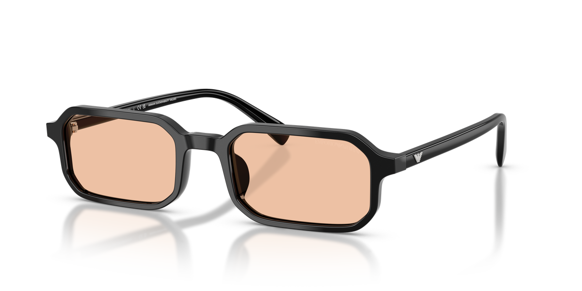 Солнцезащитные очки Emporio Armani EA4253U 501793 54 21