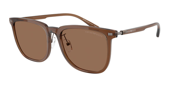 Emporio Armani EA4255D 628273 56 18 太阳镜