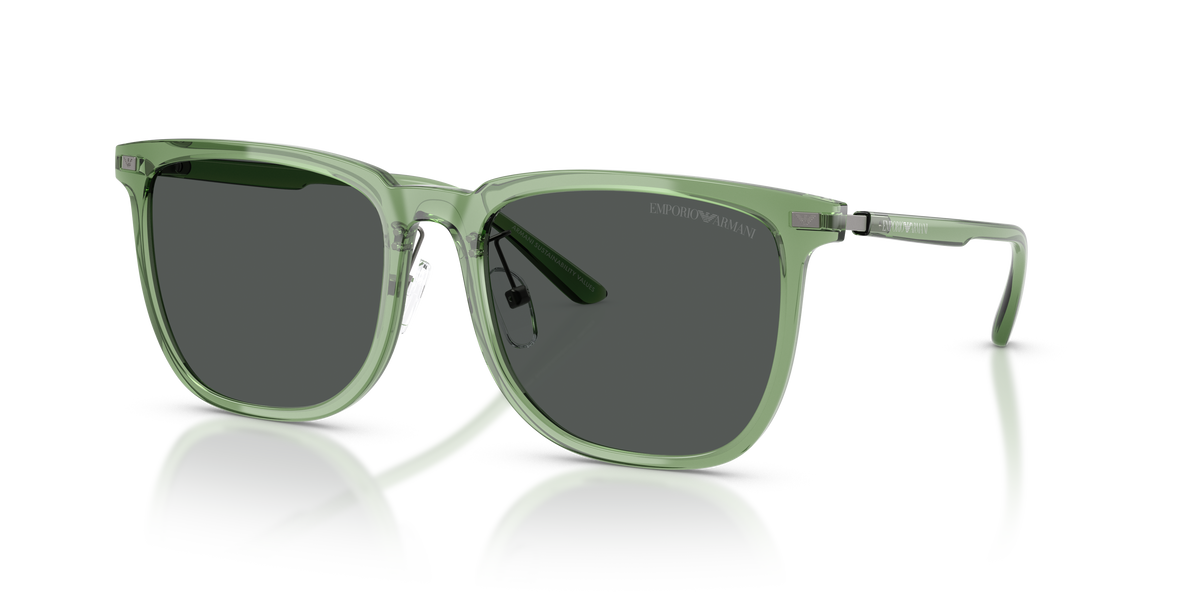 Lunettes de soleil Emporio Armani EA4255D 536287 56 18