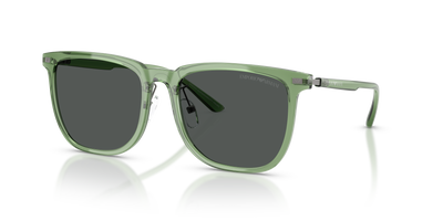 Lunettes de soleil Emporio Armani EA4255D 536287 56 18