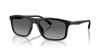 Gafas de Sol Emporio Armani EA4257U 500181 57 17