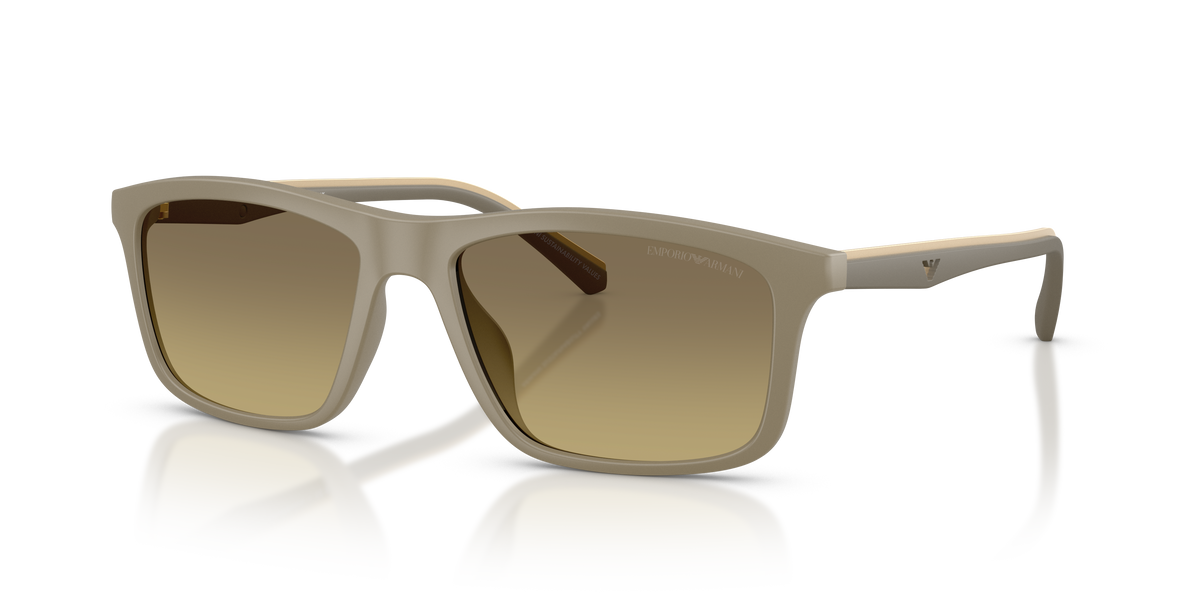 Gafas de Sol Emporio Armani EA4257U 5437G9 57 17