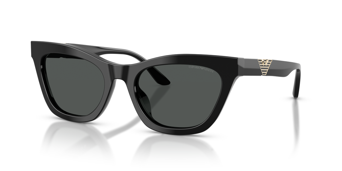 Sunglasses Emporio Armani EA4259U 501787 55 20