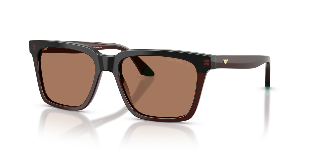 Gafas de Sol Emporio Armani EA4260 631573 55 17