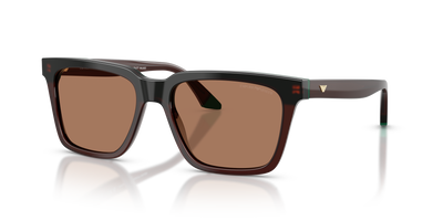 Gafas de Sol Emporio Armani EA4260 631573 55 17