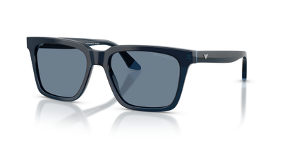 Gafas de Sol Emporio Armani EA4260 63172V 55 17