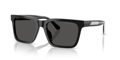 Gafas de Sol Emporio Armani EA4262U 501787 57 19