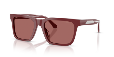 Gafas de Sol Emporio Armani EA4262U 632269 57 19